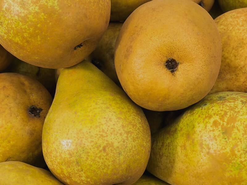 Pêssego - Origem das Frutas | Compal